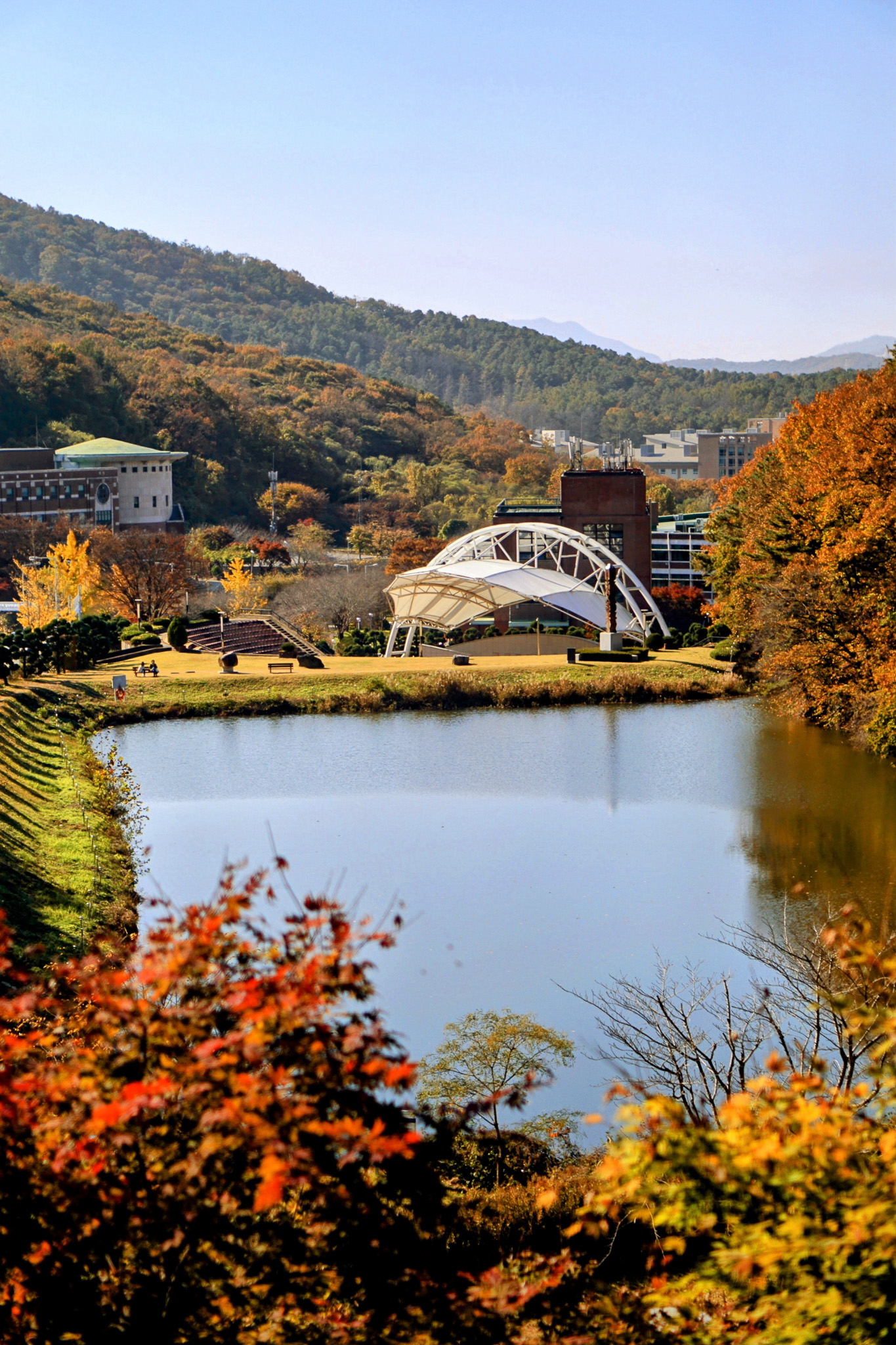 사진 1